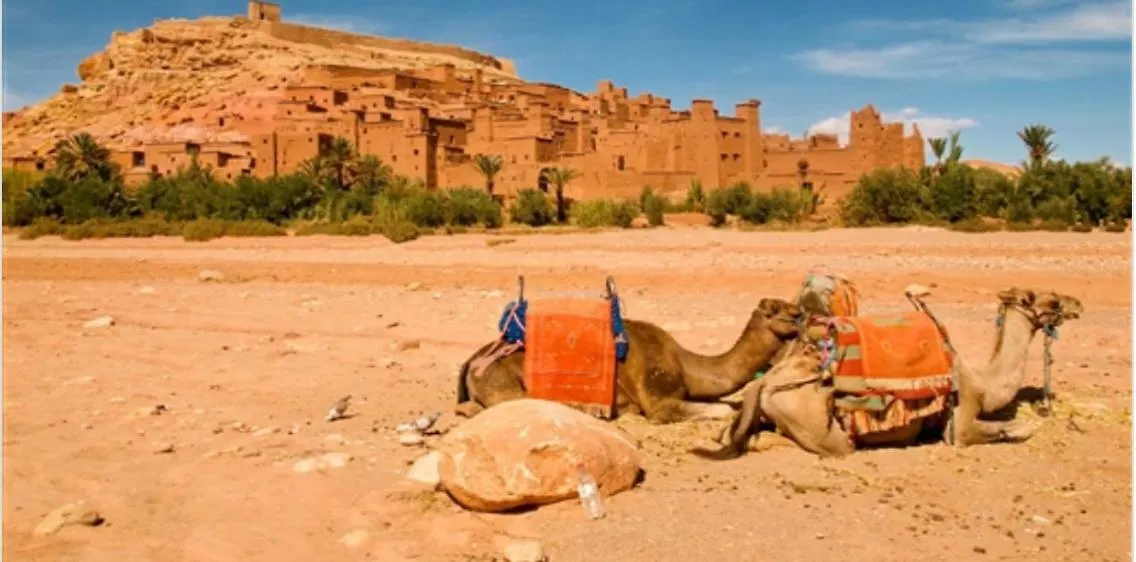 Chez Maya Marrakesh Morocco